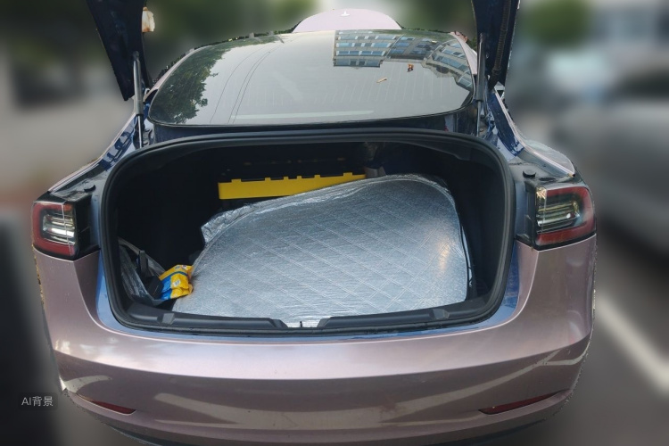 Tesla Model 3 2020 immagine di auto #21