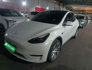 Tesla Model Y 2023 car image 