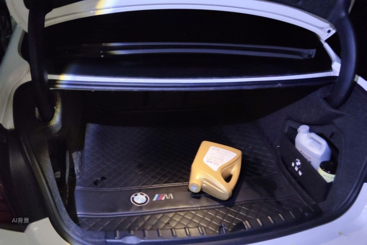 BMW 3 Series 2017 car image #21
