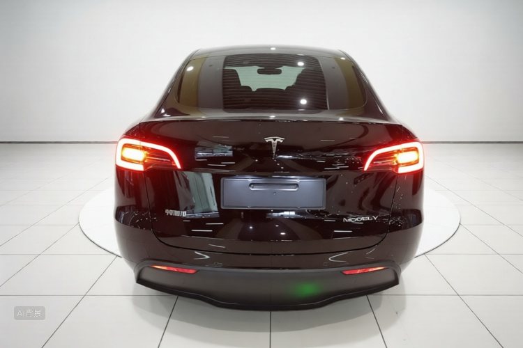Tesla Model Y 2023 car image #6