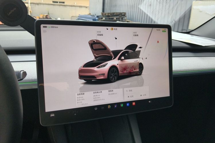 Tesla Model Y 2024 car image #12