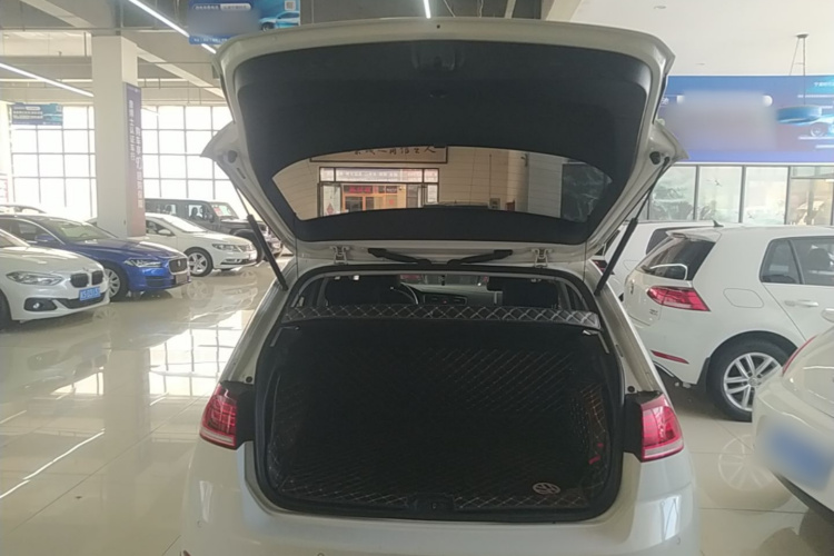 Volkswagen Golf 2019 car image #19