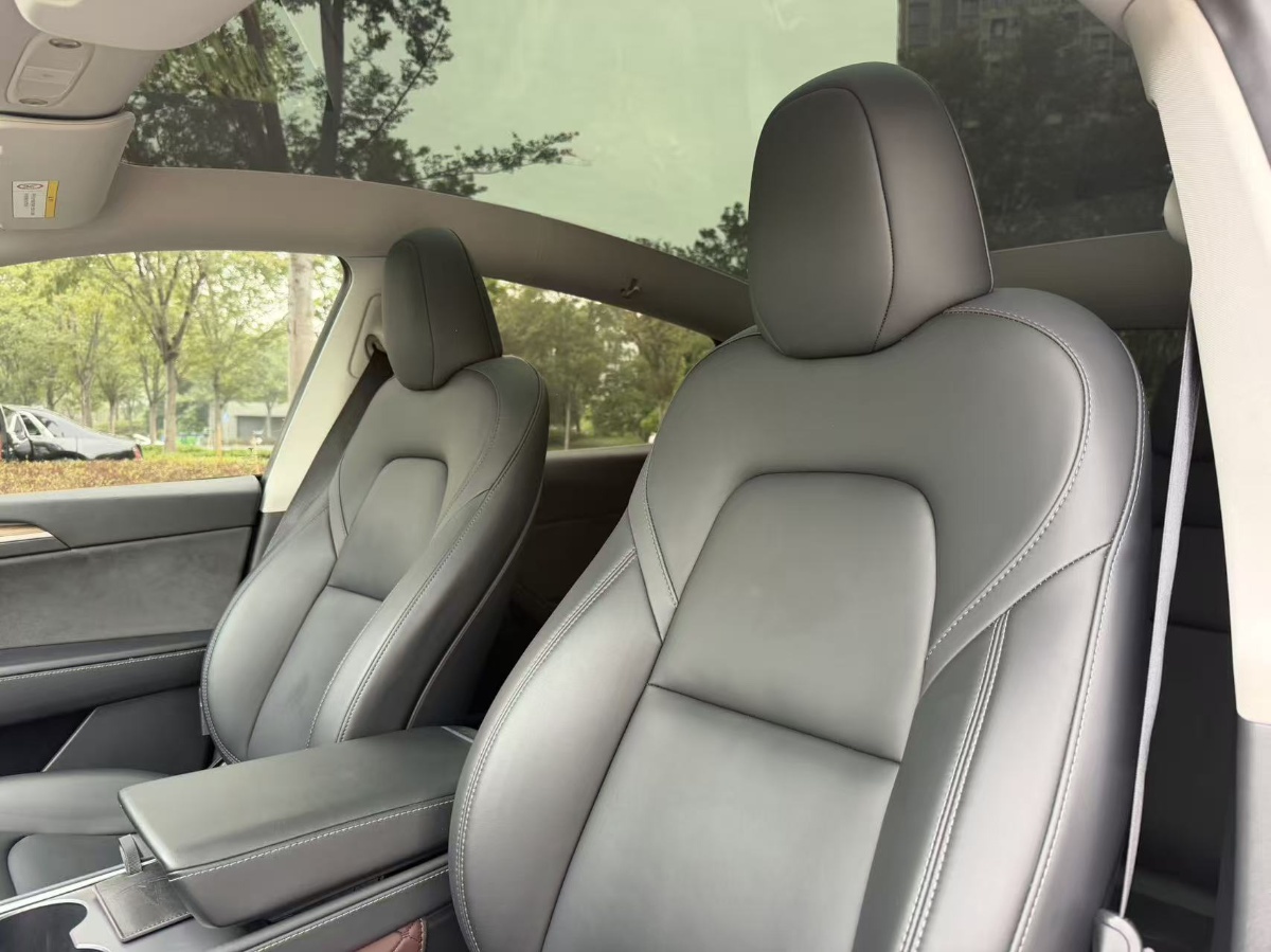 Tesla Model Y 2022 car image #9