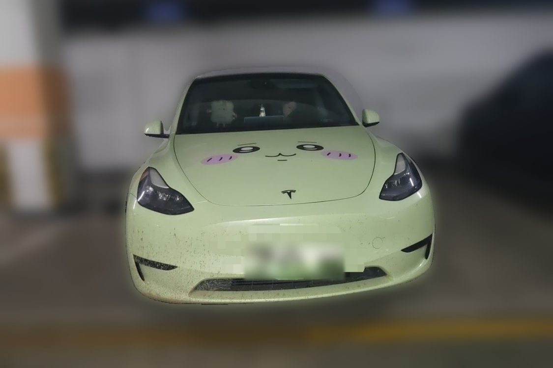 Tesla Model Y 2024 #5 Tesla Model Y 2024 car image #5