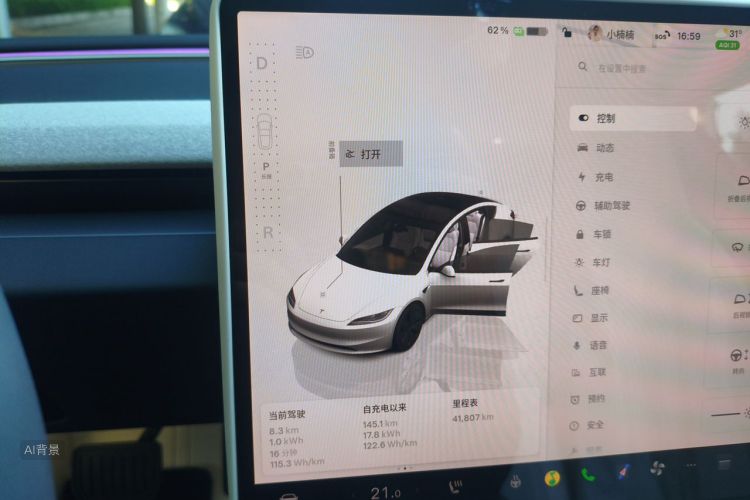 Tesla Model 3 2024 immagine di auto #13