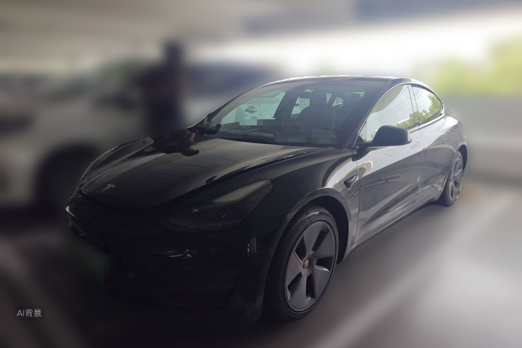Tesla Model 3 2021 car image #2