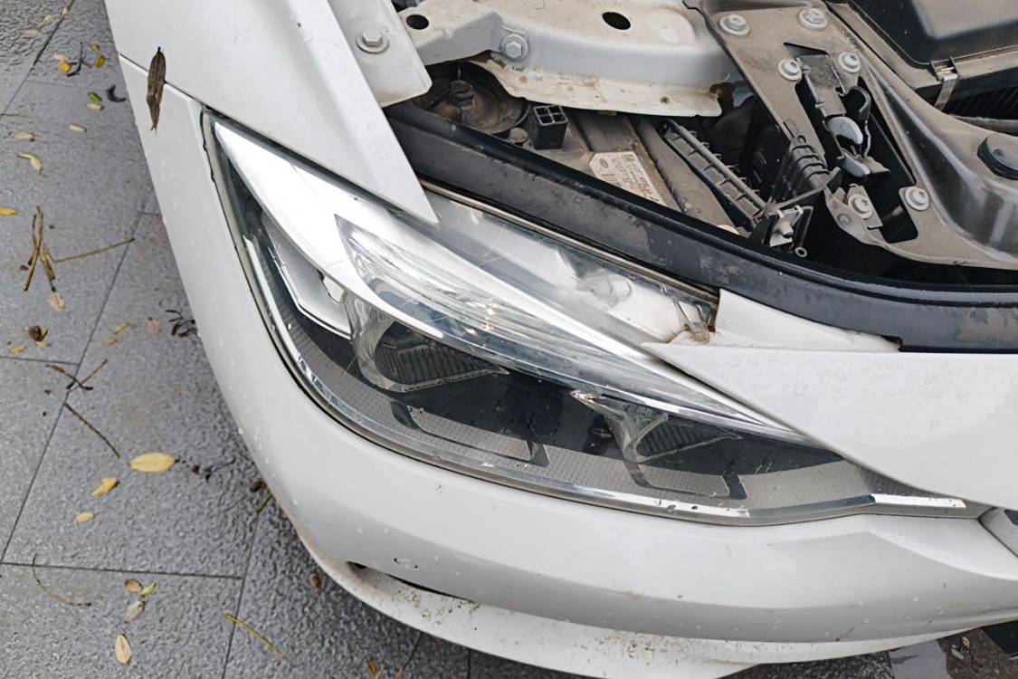 BMW 3 Series 2015 #7 BMW 3 Series 2015 car image #7