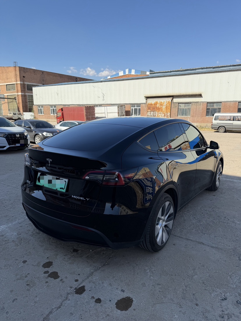 Tesla Model Y 2023 #9 Tesla Model Y 2023 car image #9