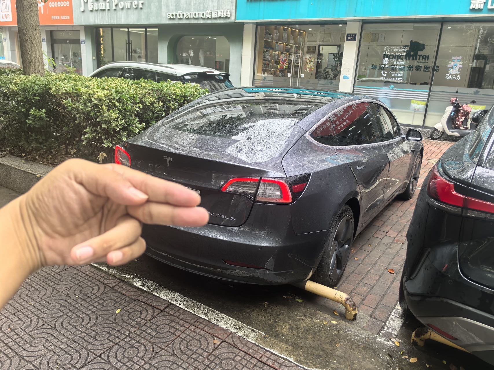 Tesla Model 3 2020 #5 Tesla Model 3 2020 car image #5