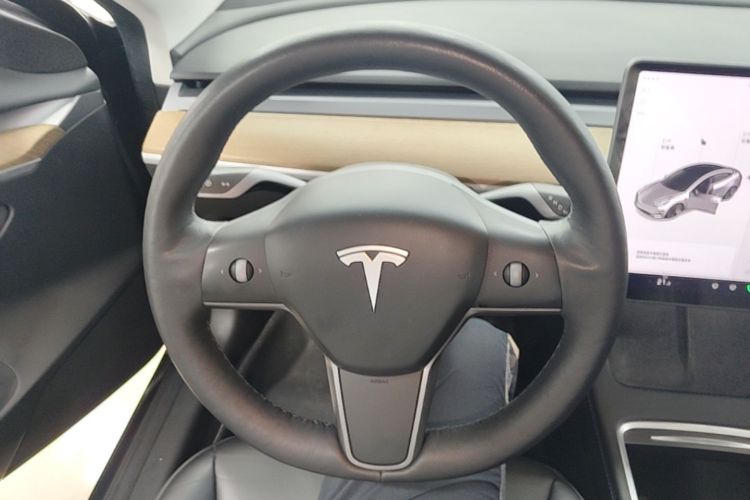 Tesla Model 3 2021 #11 Tesla Model 3 2021 car image #11