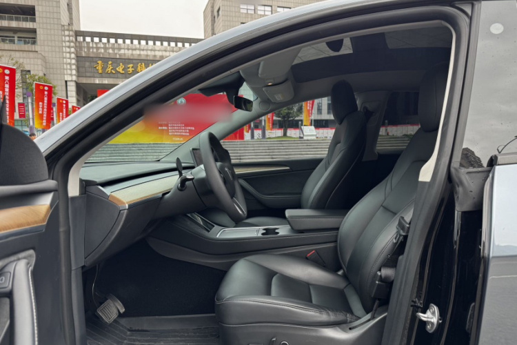 Tesla Model Y 2021 car image #12