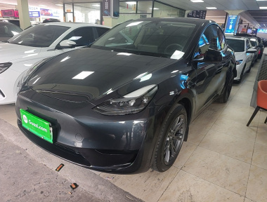 Tesla Model Y 2024 Tesla Model Y 2024 изображение автомобиля