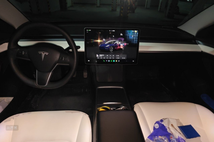 Tesla Model 3 2022 car image #11