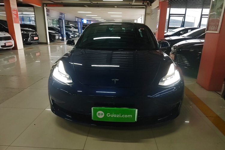 Tesla Model 3 2020 #3 Tesla Model 3 2020 car image #3