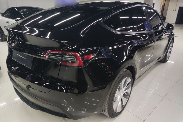 Tesla Model Y 2021 car image #7