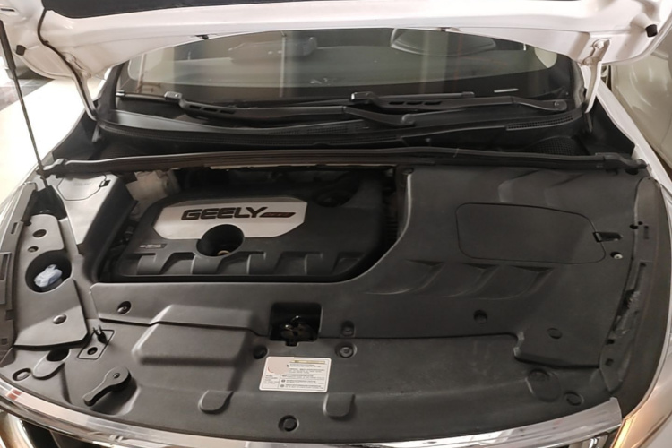 GEELY Emgrand GS 2019 #20 GEELY Emgrand GS 2019 car image #20