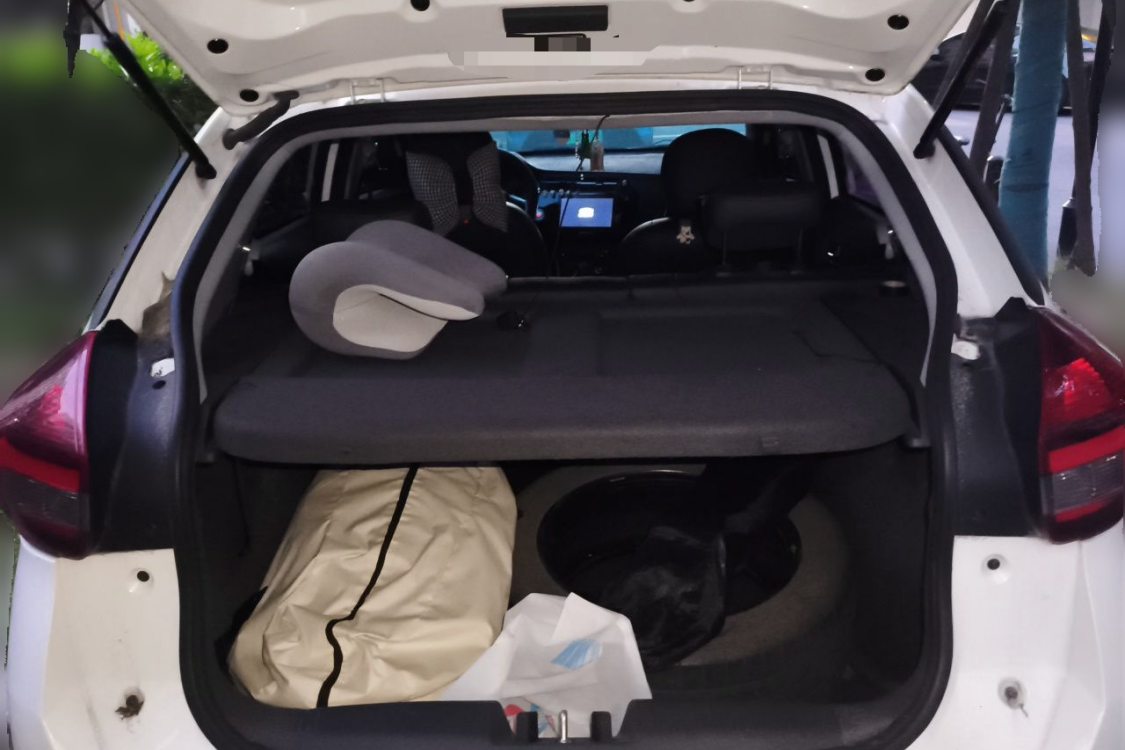 Chery Tiggo 3x 2021 #8 Chery Tiggo 3x 2021 car image #8