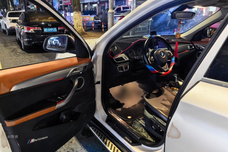 BMW X1 2016 car image #18