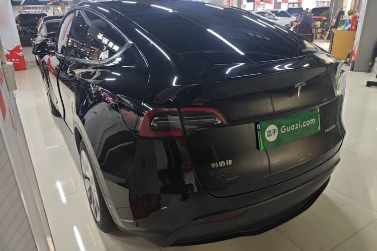 Tesla Model Y 2021 immagine di auto #5