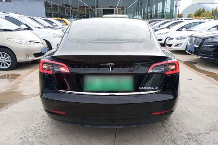 Tesla Model 3 2020 #6 Tesla Model 3 2020 car image #6