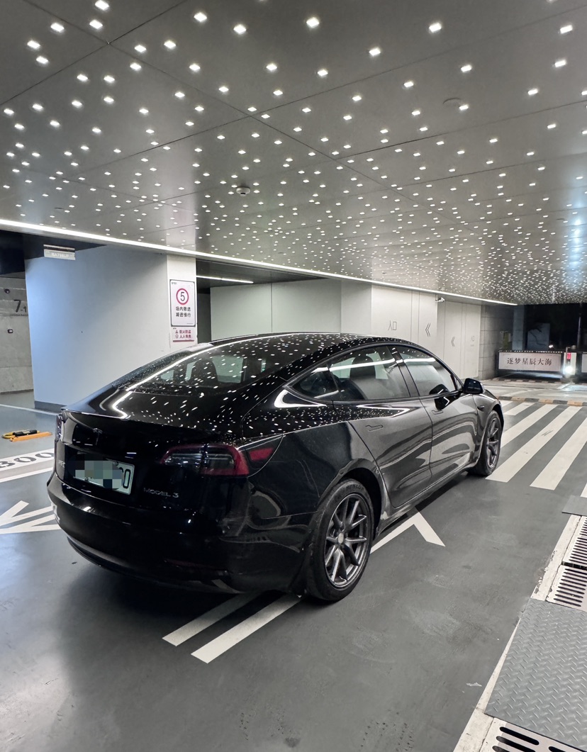 Tesla Model 3 2021 #6 Tesla Model 3 2021 imagen de coche #6