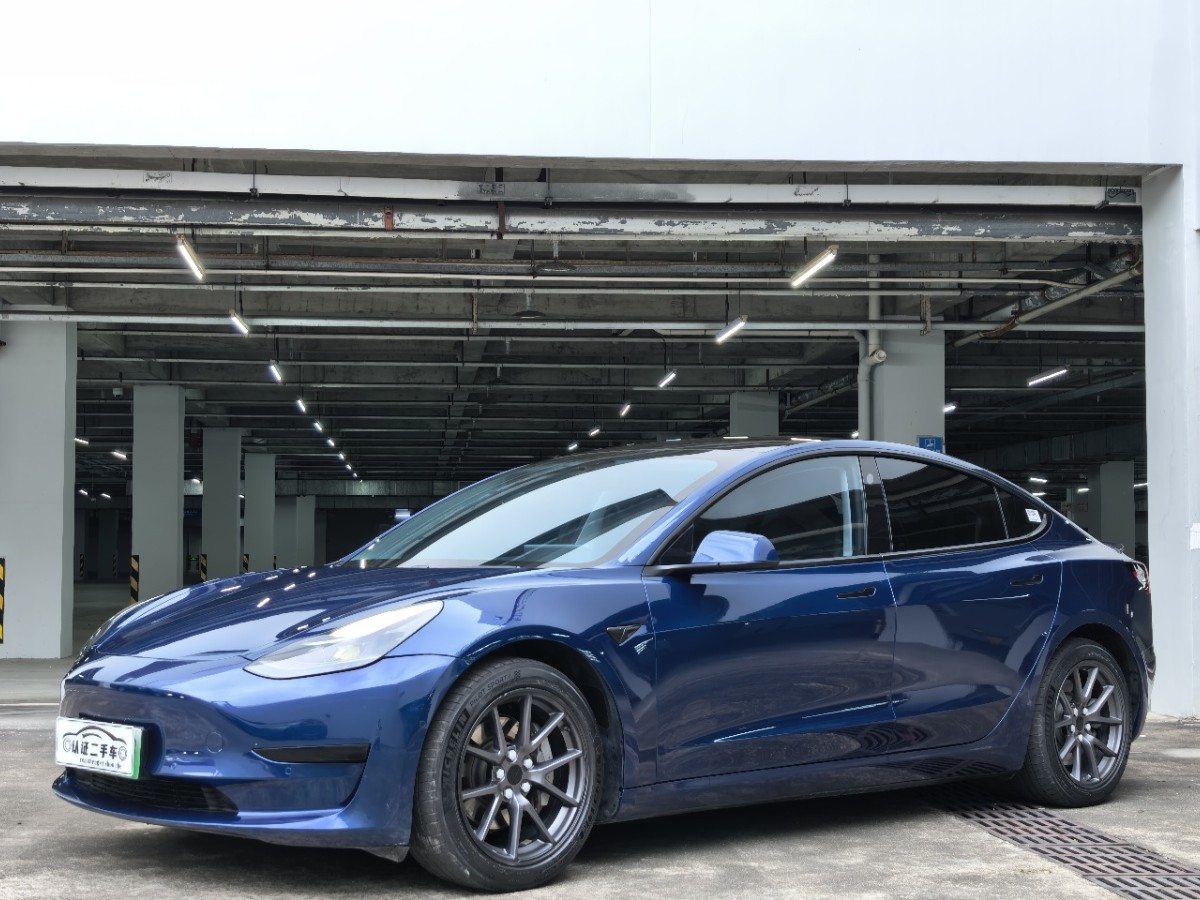 Tesla Model 3 2021 car image 