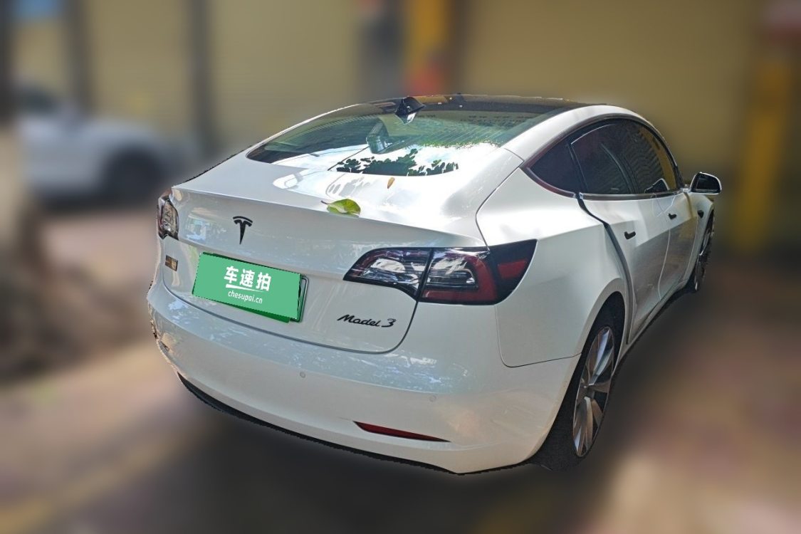 Tesla Model 3 2020 car image #4