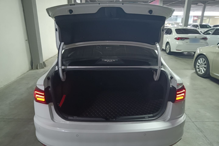 Volkswagen Bora 2021 car image #19