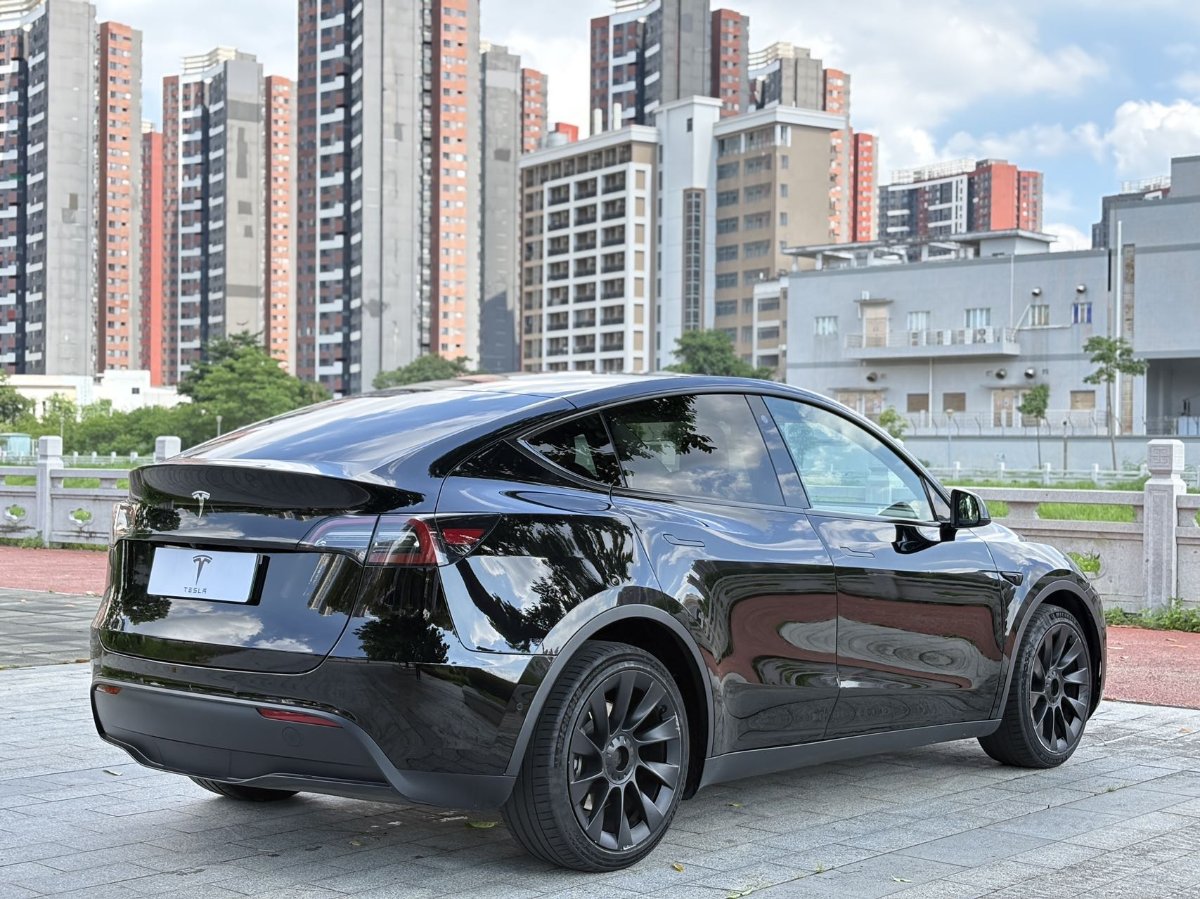 Tesla Model Y 2021 #9 Tesla Model Y 2021 car image #9