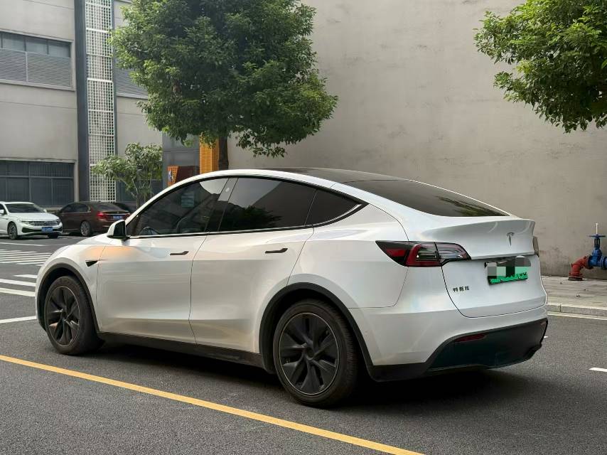 Tesla Model Y 2023 car image #6
