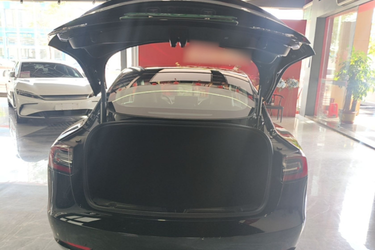 Tesla Model 3 2021 car image #19