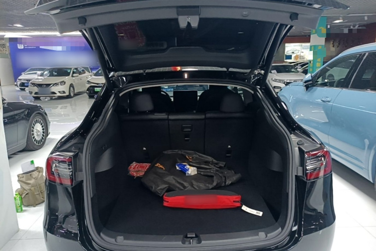 Tesla Model Y 2021 #25 Tesla Model Y 2021 car image #25