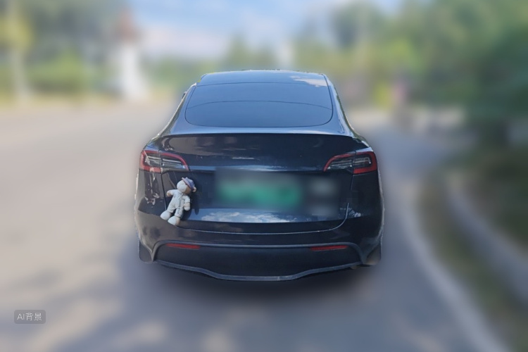 Tesla Model Y 2024 car image #6