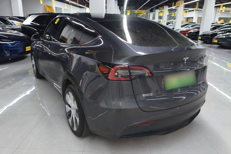 Tesla Model Y 2023 #5 Tesla Model Y 2023 car image #5