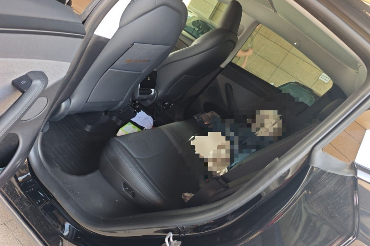 Tesla Model Y 2025 car image #10