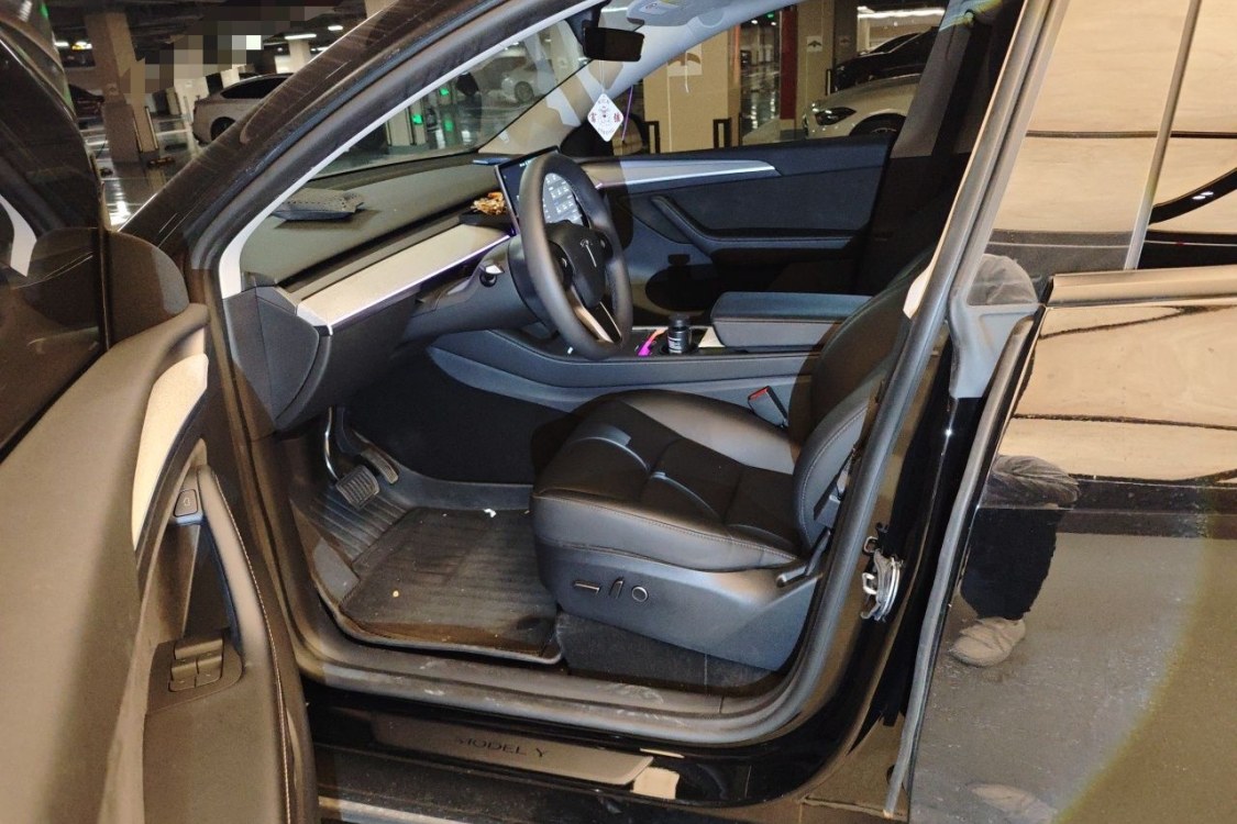 Tesla Model Y 2024 car image #19
