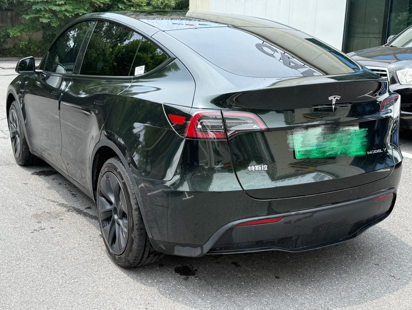 Tesla Model Y 2024 car image #6