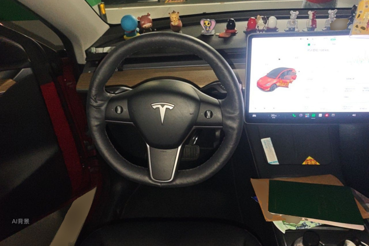 Tesla Model Y 2021 car image #12