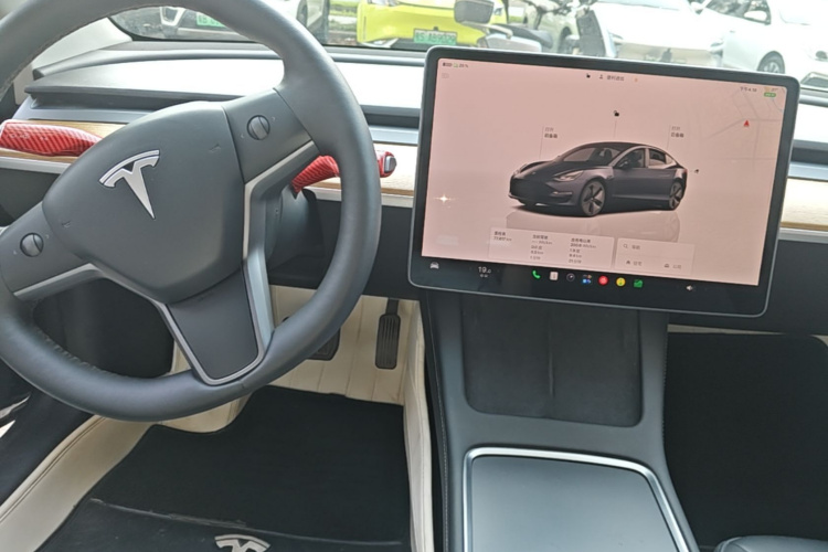 Tesla Model 3 2022 car image #10