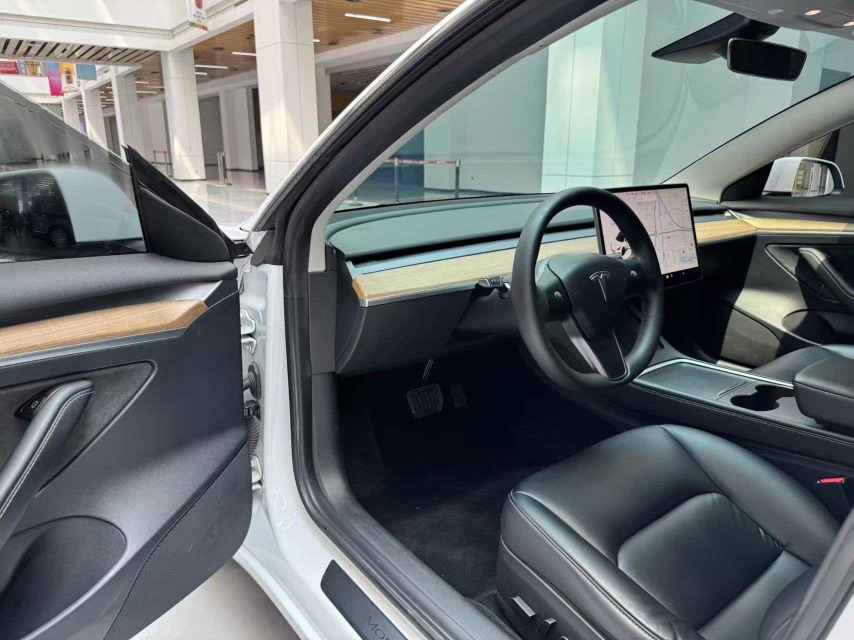 Tesla Model 3 2022 car image #9