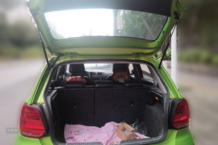Volkswagen Polo 2015 car image #21
