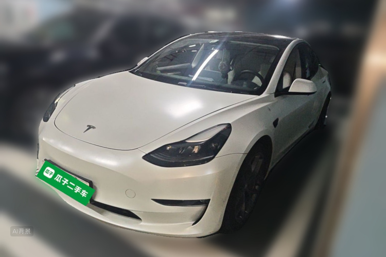 Tesla Model 3 2021 #2 Tesla Model 3 2021 car image #2