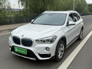 BMW X1 New Energy 2019 car image 