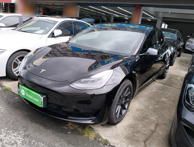 Tesla Model 3 2021 Tesla Model 3 2021 car image