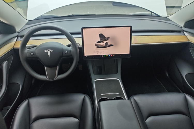 Tesla Model 3 2022 imagem de carro #10