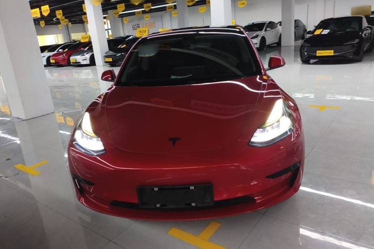 Tesla Model 3 2021 #3 Tesla Model 3 2021 car image #3