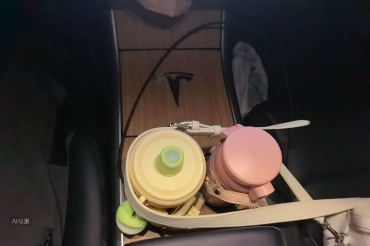 Tesla Model 3 2020 car image #16
