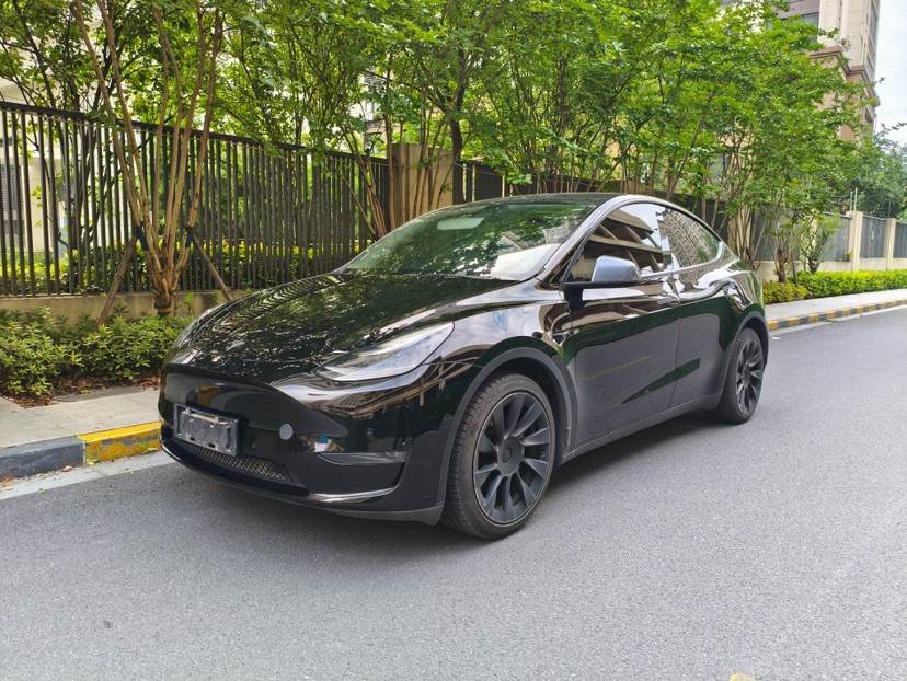 Tesla Model Y 2021 Tesla Model Y 2021 car image