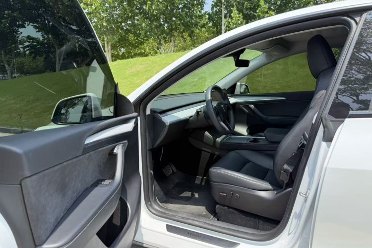 Tesla Model Y 2023 car image #12