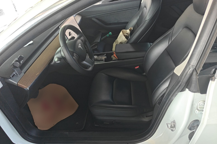 Tesla Model 3 2020 #15 Tesla Model 3 2020 car image #15